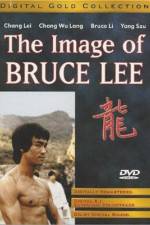Watch The Bruce Lee Story - (Meng nan da zei yan zhi hu) Merdb