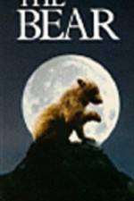 Watch The Bear - (L'ours) Merdb