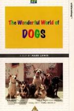 Watch The Wonderful World of Dogs Merdb