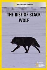 Watch The Rise of Black Wolf Merdb