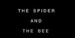 Watch The Spider and the Bee Merdb