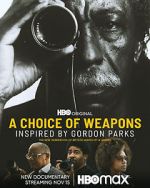 Watch A Choice of Weapons: Inspired by Gordon Parks Merdb