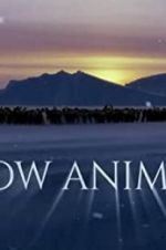 Watch Snow Animals Merdb