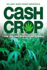 Watch Cash Crop Merdb