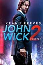 Watch John Wick Chapter 2: Wick-vizzed Merdb