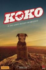 Watch Koko: A Red Dog Story Merdb