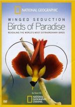 Watch Winged Seduction: Birds of Paradise Merdb