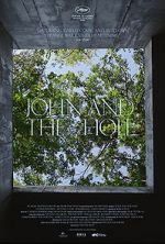 Watch John and the Hole Merdb