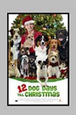 Watch 12 Dog Days Till Christmas Merdb