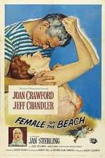 Watch Female on the Beach Merdb