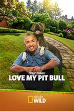 Watch Cesar Millan: Love My Pit Bull Merdb