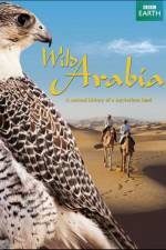 Watch Wild Arabia Merdb