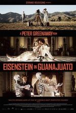 Watch Eisenstein in Guanajuato Merdb