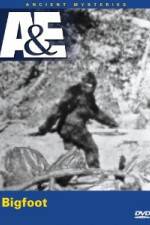 Watch A&E Ancient Mysteries - Bigfoot Merdb