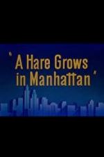 Watch A Hare Grows in Manhattan Merdb