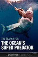 Watch The Search for the Oceans Super Predator Merdb