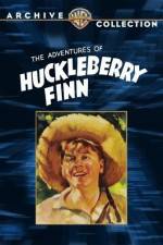 Watch Huckleberry Finn Merdb