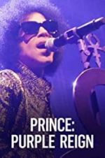 Watch Prince: A Purple Reign Merdb