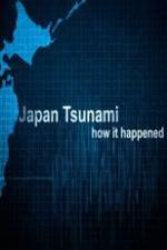 Watch Japan Tsunami: How It Happened Merdb
