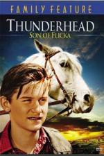 Watch Thunderhead - Son of Flicka Merdb