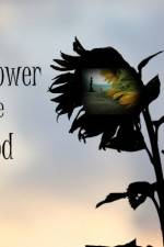 Watch The Sunflower and the Sun God Merdb