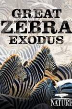 Watch Nature: Great Zebra Exodus Merdb