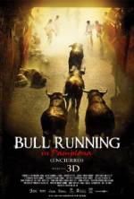 Watch Encierro 3D: Bull Running in Pamplona Merdb