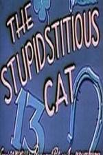 Watch Stupidstitious Cat Merdb