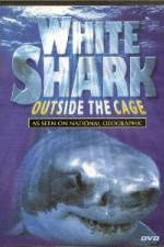 Watch National Geographic white shark:outside the cage Merdb
