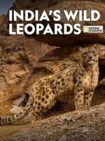Watch India\'s Wild Leopards (Short 2020) Merdb