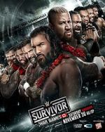 Watch WWE Survivor Series WarGames (TV Special 2024) Merdb