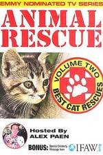 Watch Animal Rescue, Volume 2: Best Cat Rescues Merdb