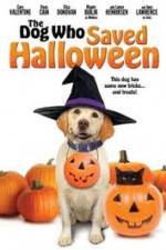 Watch The Dog Who Saved Halloween Merdb