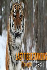 Watch Discovery Channel-Last Tiger Standing Merdb