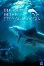 Watch Dolphins in the Deep Blue Ocean Merdb
