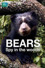 Watch Bears: Spy in the Woods Merdb