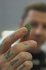 Watch Professor Green: Is It Time to Legalise Weed? Merdb