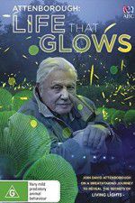 Watch Attenborough\'s Life That Glows Merdb