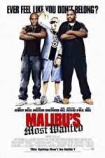 Watch Malibu's Most Wanted Merdb