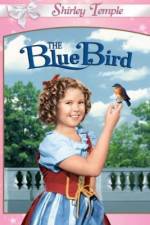 Watch The Blue Bird Merdb