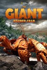 Watch The Giant Robber Crab Merdb