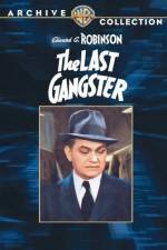 Watch The Last Gangster Merdb