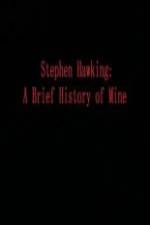 Watch Stephen Hawking A Brief History of Mine Merdb