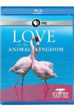 Watch Nature: Love in the Animal Kingdom Merdb