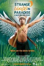 Watch Strange Birds in Paradise A West Papuan Story Merdb