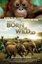 Watch Born to Be Wild Merdb