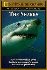 Watch National Geographic The Sharks Merdb