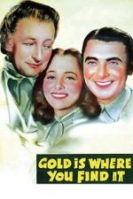 Watch Gold Is Where You Find It Merdb