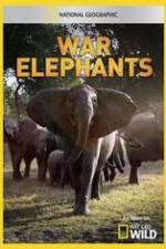 Watch War Elephants Merdb