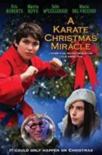 Watch A Karate Christmas Miracle Merdb